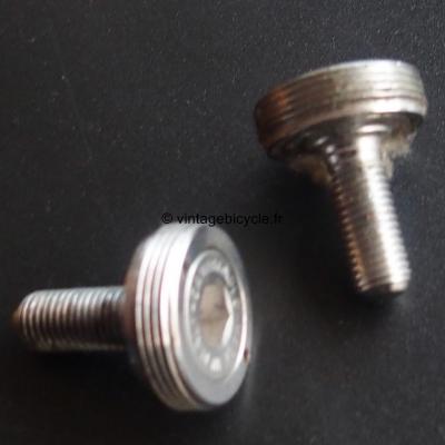 CAMPAGNOLO Crank Screw with Incorporated Extractor  NOS (a pair)